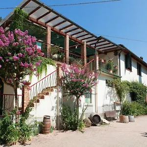 Lucciano , San Casciano in Val di Pesa Italia