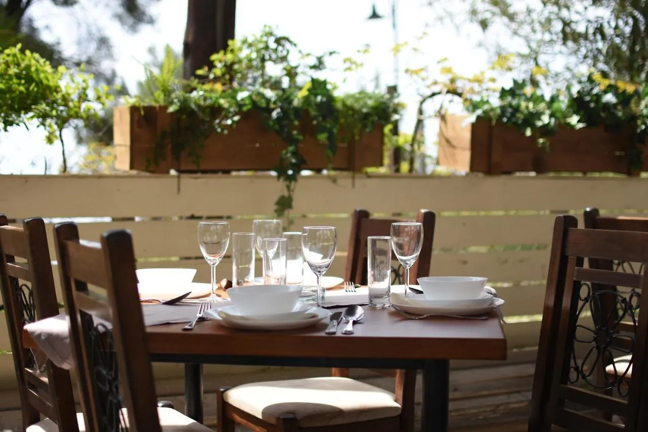 מטהמורפוסי Golden Beach Hotel