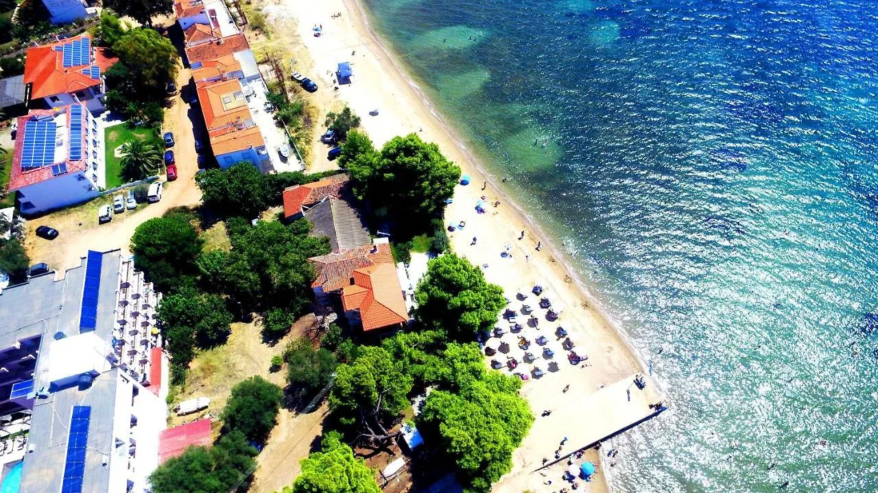 מטהמורפוסי Golden Beach Hotel