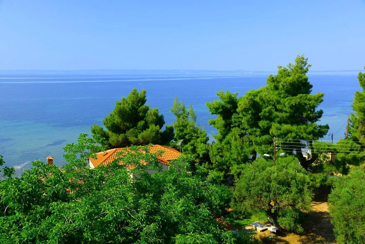 מטהמורפוסי Golden Beach Hotel